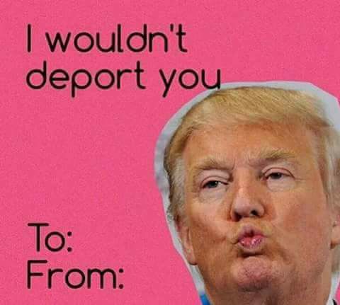 DearDonProject's tweet photo. #DearDon #Itsnotmeitsyou #valentines https://t.co/rR8VuwyBVx