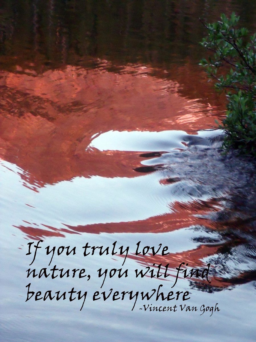 If you truly love nature,
You will find beauty everywhere.
-Vincent Van Gogh 
#HappyValentinesDay #RMNP (NPS/John Marino) ks