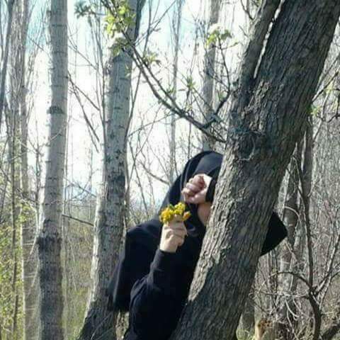 الكاتبة شيماء الكعبي 🌺 tweet media