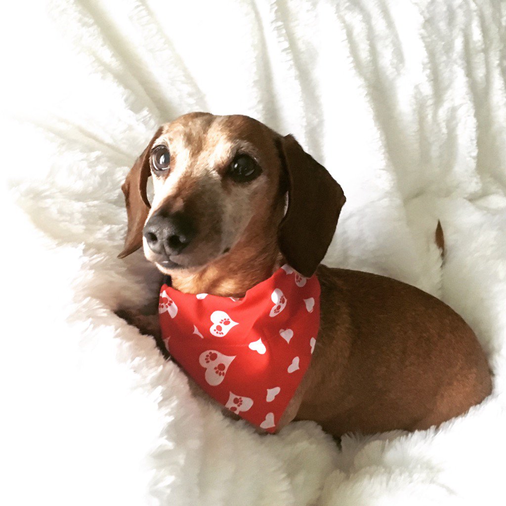 DarleneDyani's tweet photo. He's my funny Valentine ❤️ #MyTQ https://t.co/onhhZGYi6d