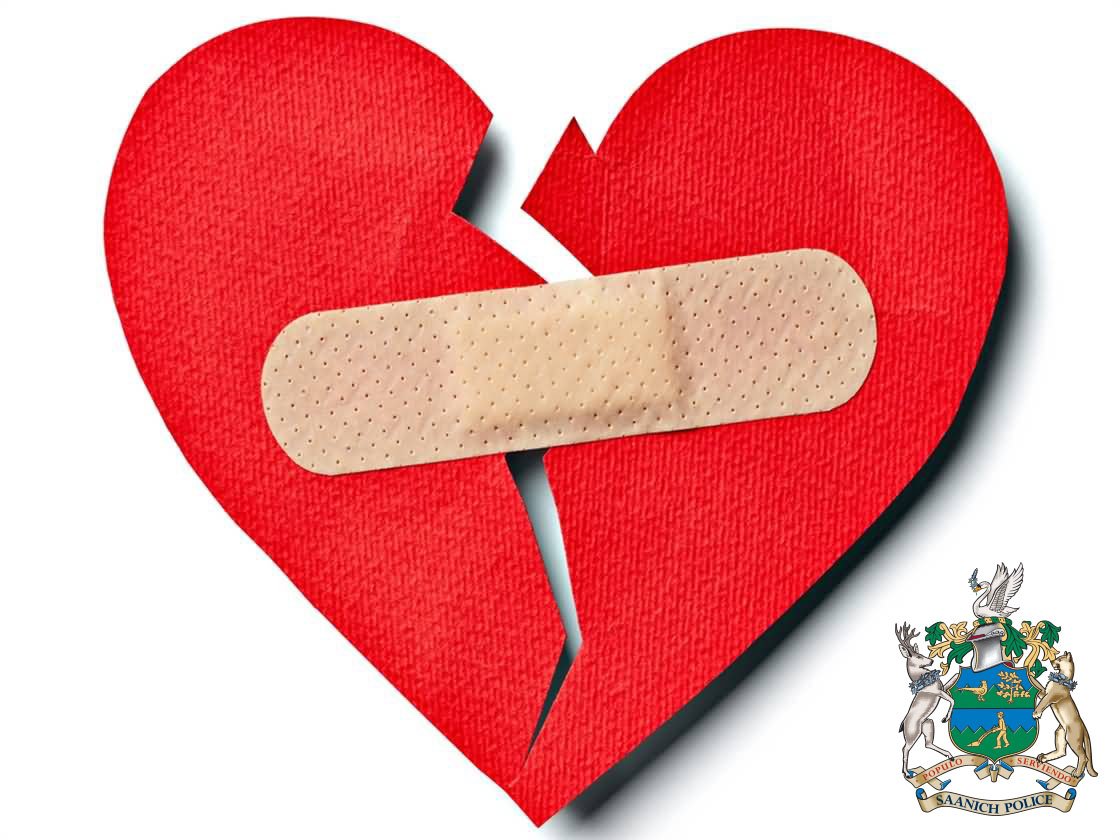 SaanichPolice's tweet photo. Happy #Valentines #Saanich #yyj. Glad to say that we've had no reports of broken hearts today! https://t.co/vSlqhgfBBu
