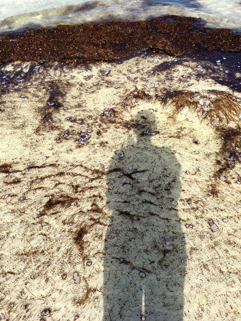 LinaAhmad_arc's tweet photo. #selfportrait #shadowscape #momentum https://t.co/szrcBqsL6j