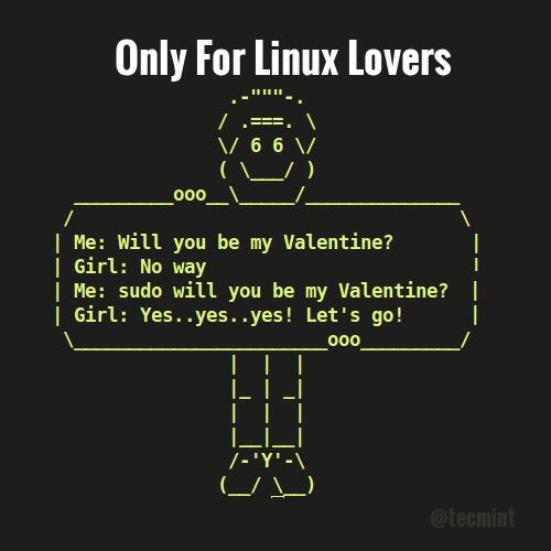 The Coding Love 👨‍💻 tweet media