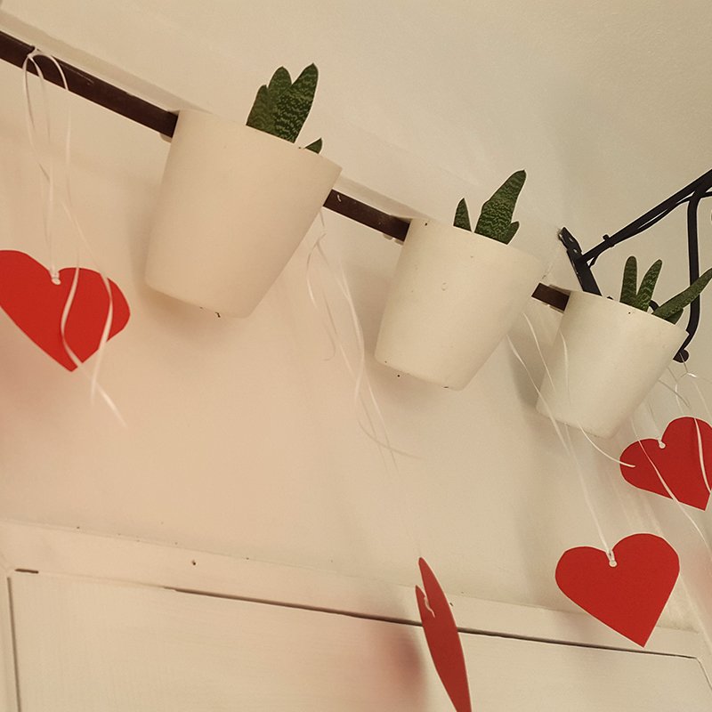tonadaluna's tweet photo. Cuando se respira el #amor por todos lados ... <3 https://t.co/DvfAwGVJDa