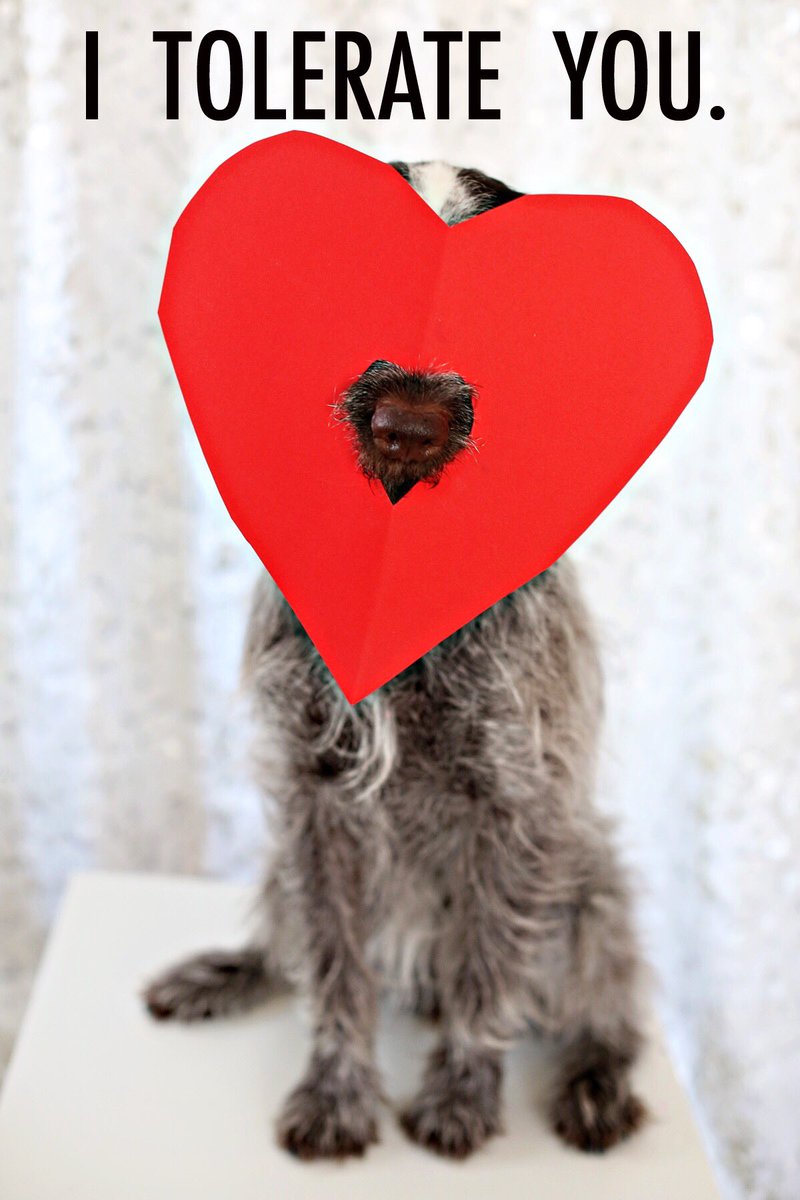 makeitwithSteph's tweet image. Happy VD.