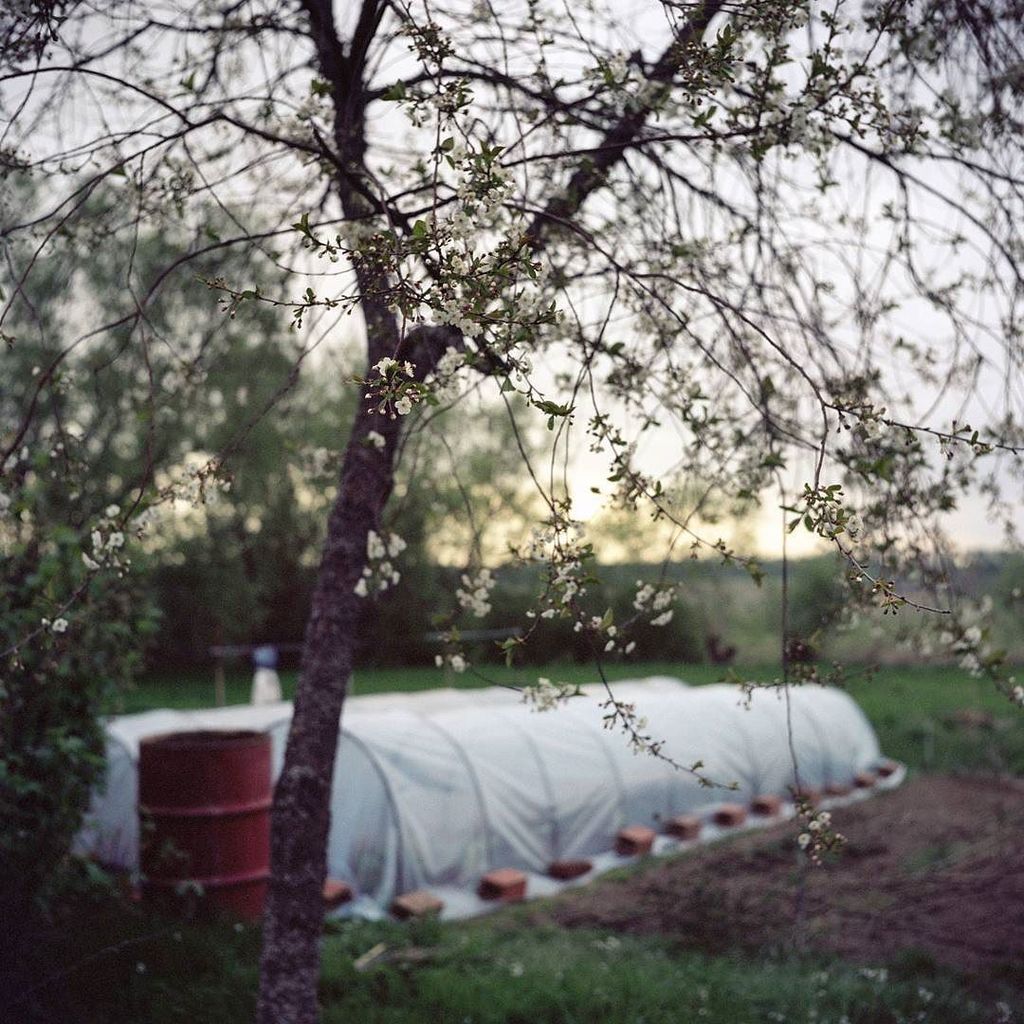 documentEAST's tweet image. (c) @mariyakozhanova

Happy #ValentinesDay everyone! As we're truly in love with #document… ift.tt/2ktOCdV