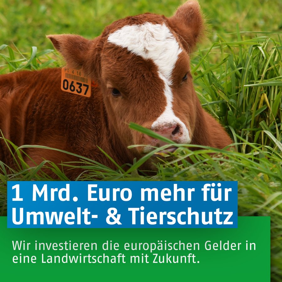 Mehr europäische Agrargelder für bäuerlich-ökolog. #Landwirtschaft, das fordern wir &amp; Grüne aus den Ländern &amp; Europa
gruene-bundestag.de/index.php?id=4…