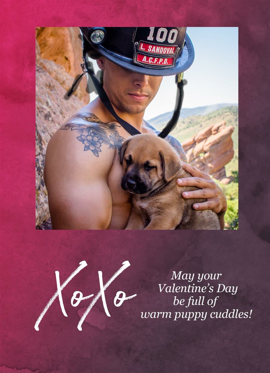 Fire Rescue Dogs tweet media