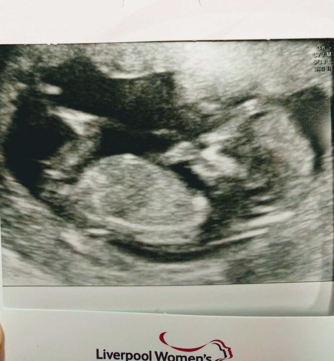 MostMons's tweet image. I've been a bit quiet here recently... The reason is I'm co-authoring an expansion to The Game of Life, which adds a 4th player.