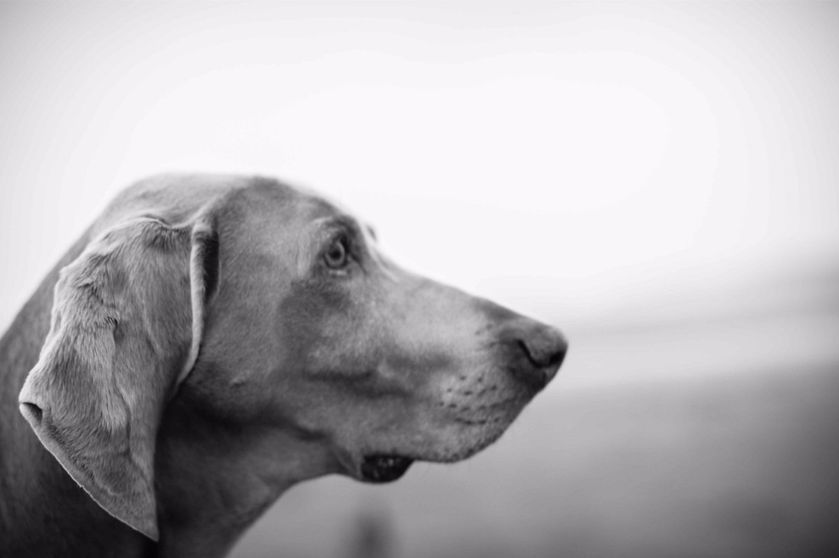 LydiaBoothPhoto tweet media