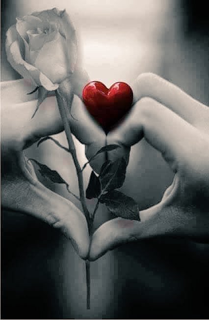 mammoletta69's tweet photo. "Amare è così breve,
e dimenticare così lungo.."🌹
#PabloNeruda
#AmoreChe
#scrivolandia
#buonsanvalentino a Tutti!!!💐
#photo https://t.co/L9QgeHZblG