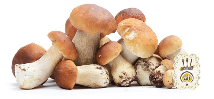 ChefGir_'s tweet photo. #ricetta #Pennette agli #Champignon, ... - https://t.co/06Pgsld95r #Funghi #Ricetta #PrimiP https://t.co/i1O0IoR7t9