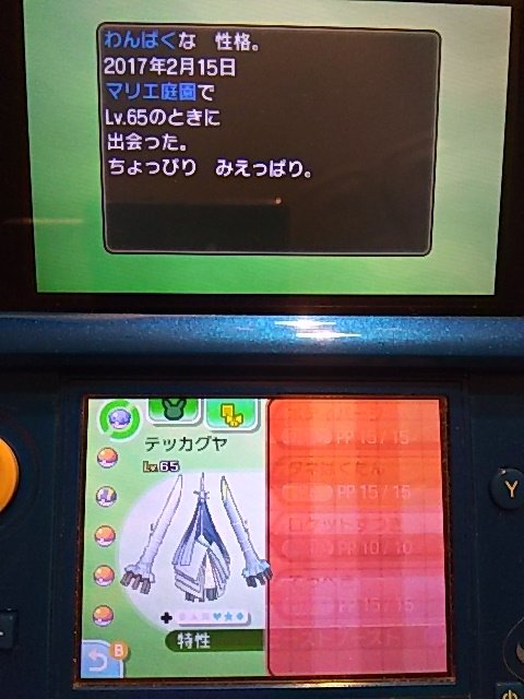 白波オルカ ガラルマサラ ヘビボめざパ氷テッカグヤさん ゲットだぜ あああああ うれしい うれしい ありがとうテッカグヤさん ポケモンサンムーン
