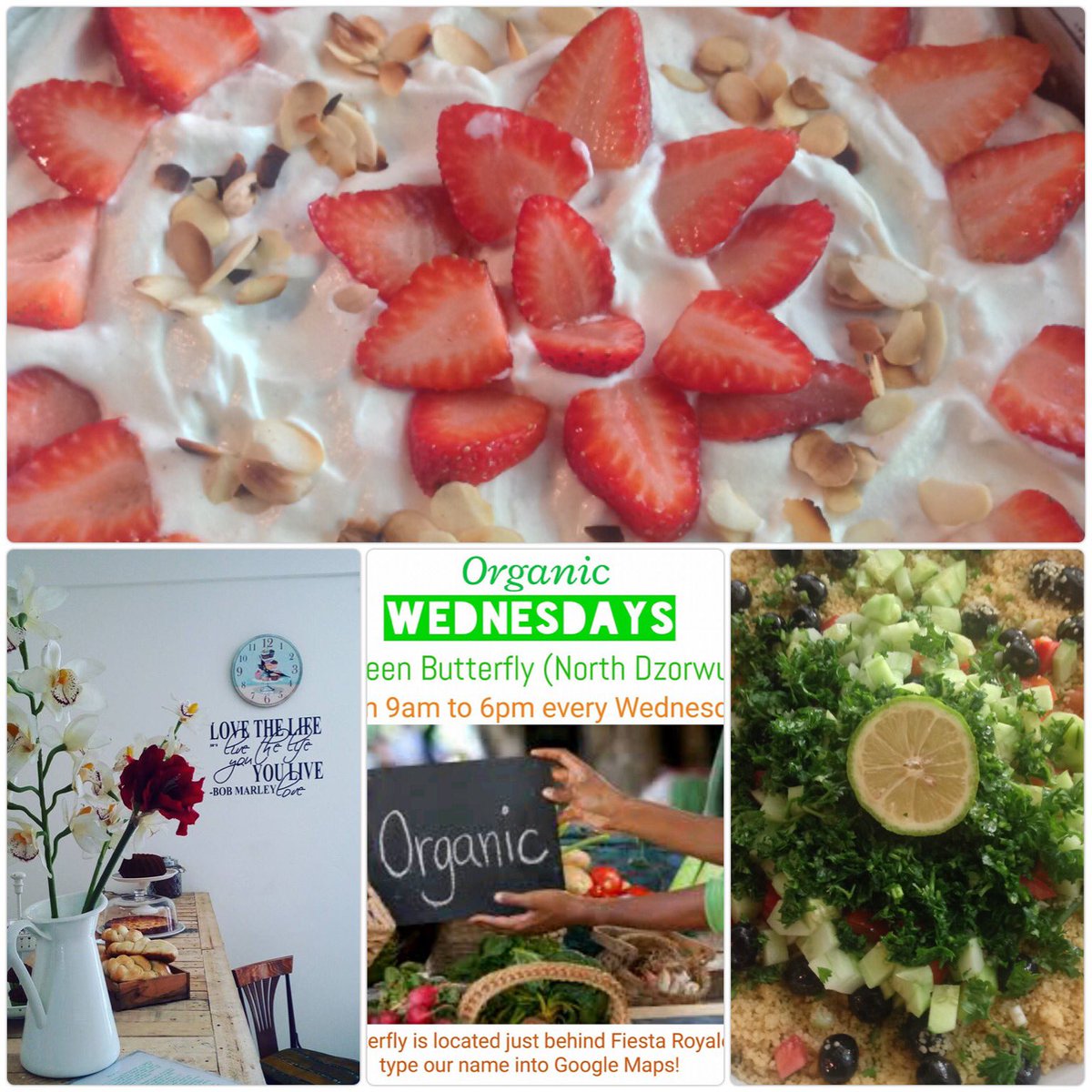 Meet us inside Green Butterfly #nobloodnobones #organic Wednesday