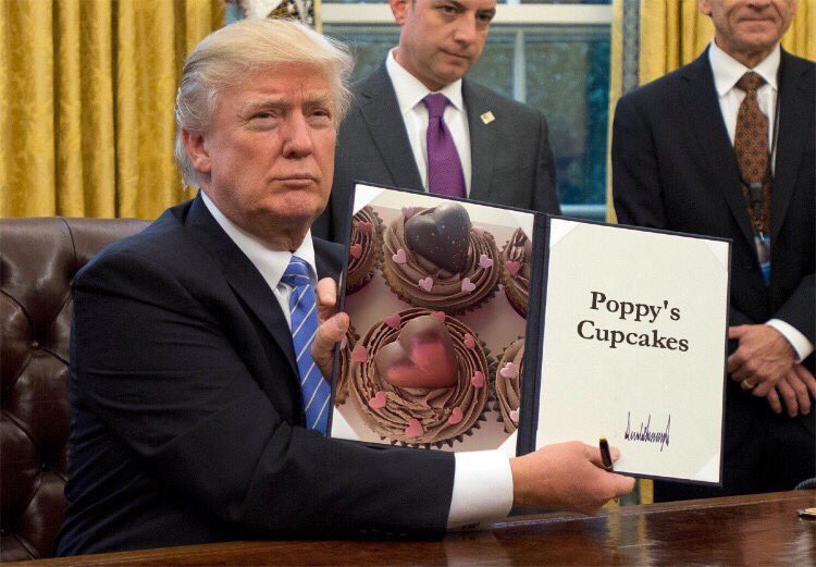 poppyscupcakes's tweet image. Finally Mr Trump gets something right... Clever mock up by @_Craft__ 💕