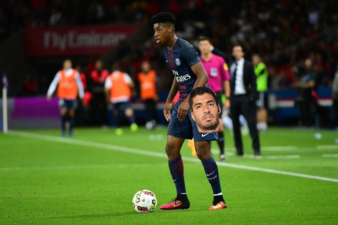 View image on Twitter