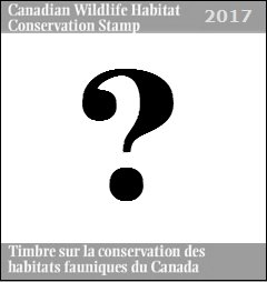 WildlifeHCanada's tweet photo. With the April 1/17 release date for the #CanadianDuckStamp & Print getting closer, we are starting to get excited! https://t.co/suKWG8Wfwn