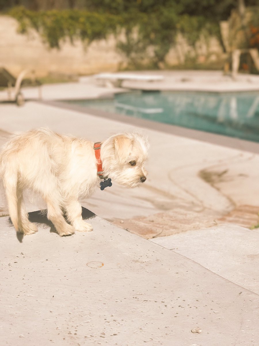 Anthony Escamilla tweet media