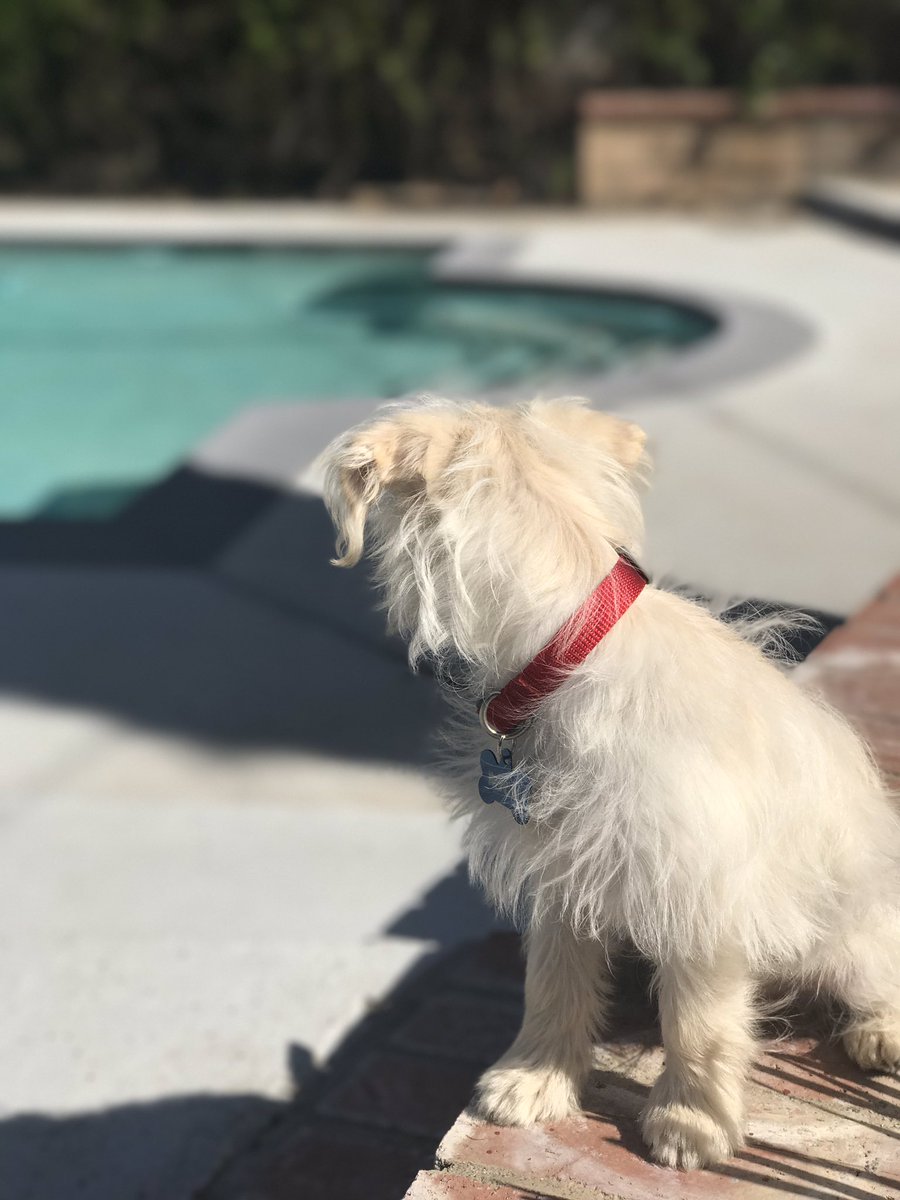 Anthony Escamilla tweet media