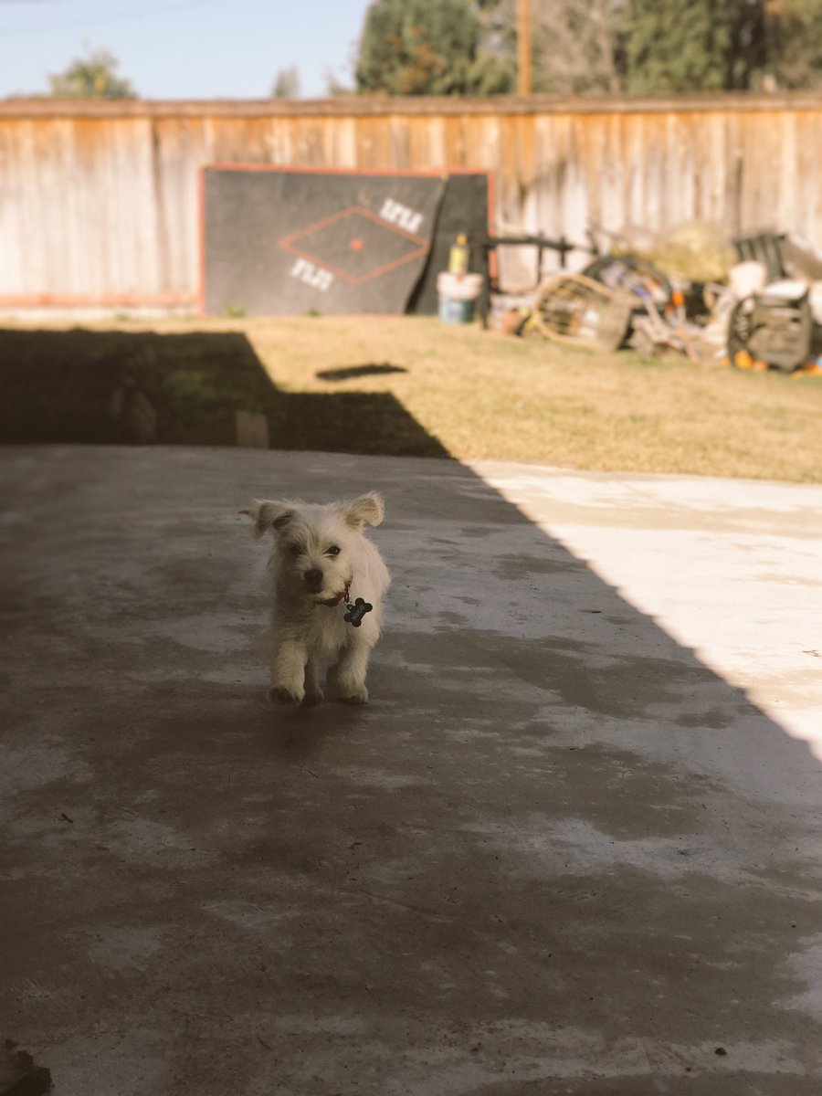 Anthony Escamilla tweet media