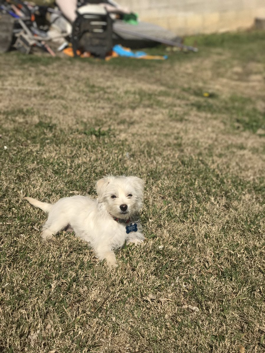 Anthony Escamilla tweet media