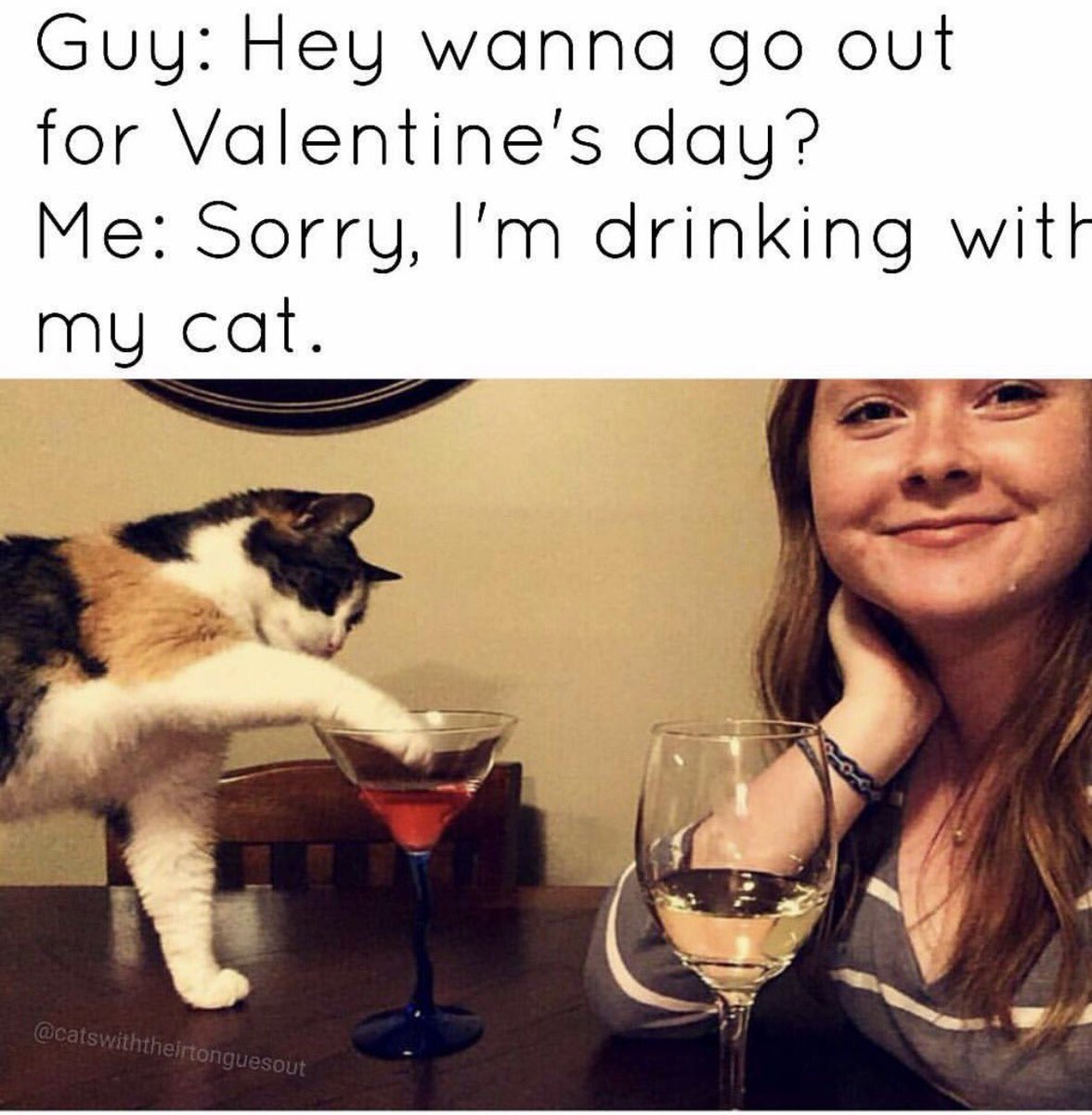 drinkwithcats's tweet photo. Truth. #cheers #valentinesday2017 https://t.co/Hoxv9zIrGW