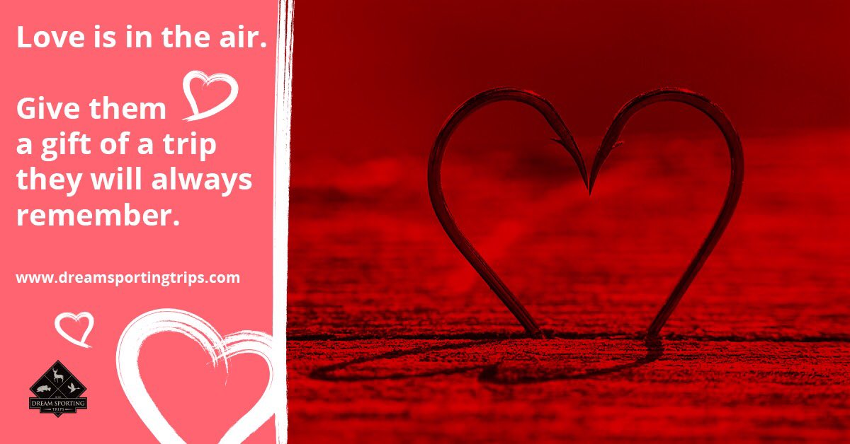 DreamSporting's tweet photo. Happy Valentine's Day! ❤ https://t.co/0IPpezOsdq