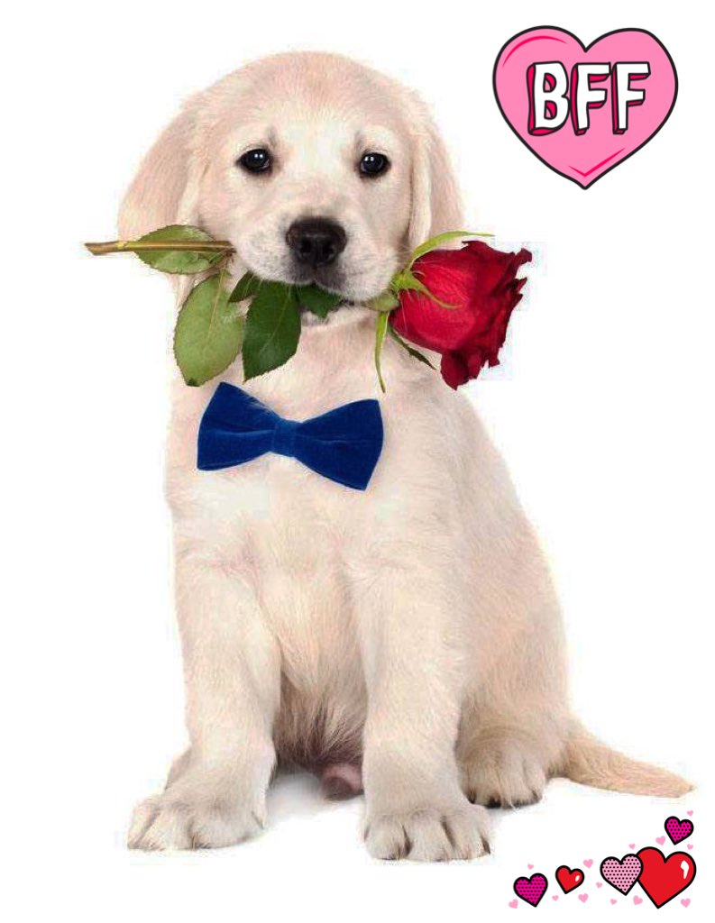 Notably_Nicole's tweet photo. @Dana_wut @MeggSarahh Happy Valentine's Day to my girls https://t.co/MKoWSVEuCn