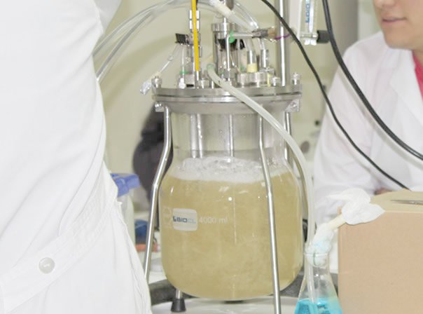 Biocl_Chile's tweet image. Biocl es una empresa Chilena, con experiencia para fortalecer sector biotecnológico. Contactános y ayudaremos a fortalecer tu bioproducción.