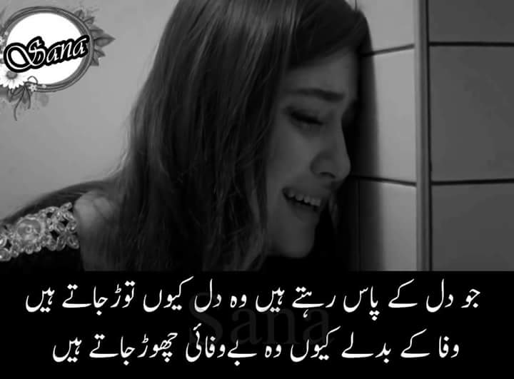 Shaikh Shakeel (@shaheen977) on Twitter photo 