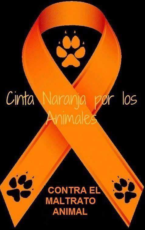 DogsRescueC's tweet photo. ⚠️MALTRATO O ABANDONO de #animales es #DELITO
Nuestro deber es protegerles porque #AnimalesNOsonCosas
#yosipuedocontarlo @APDACops #perro https://t.co/fu3eo4tbiC