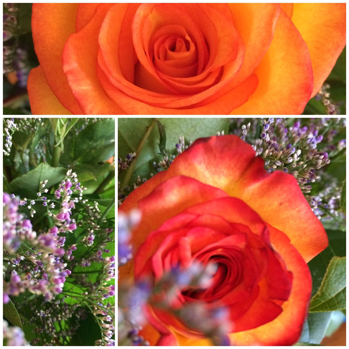 JocTanis's tweet photo. Happy Valentines Day! #valentines #flowers #roses #bouquet #love https://t.co/NYBdVo1qdR