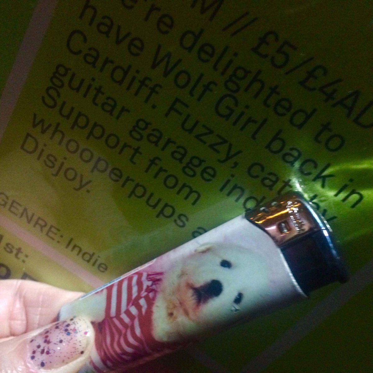 <a href="/thewhooperups/">The Whooperups</a> super pups