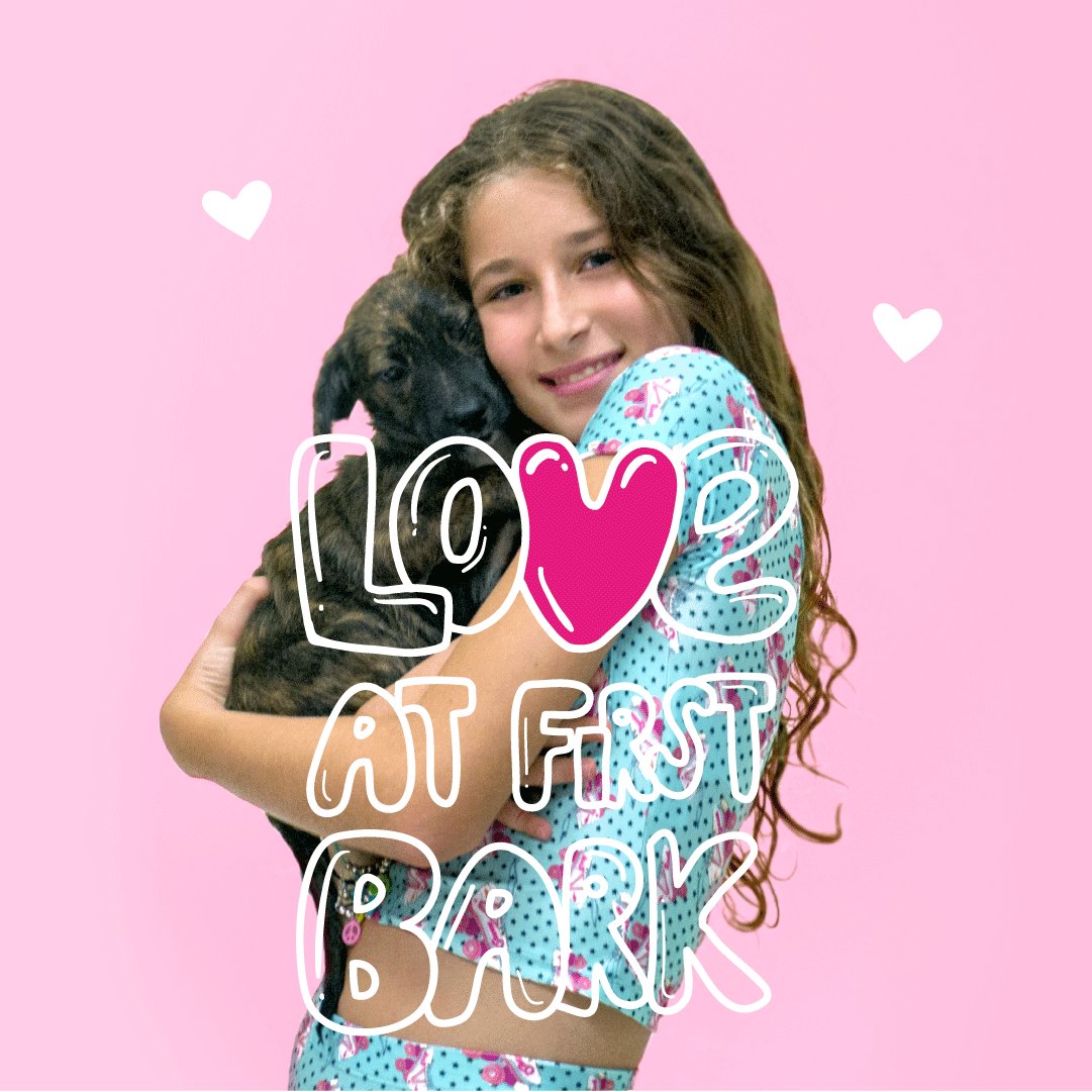 queen_juana's tweet photo. 👑✨ #QueenValentines ❤ ¡Contanos lo que amás! 🙈 Nosotros las tardes de peli, helado, #BFF y ¡perritos! 😍 https://t.co/3NBwWaEUeB