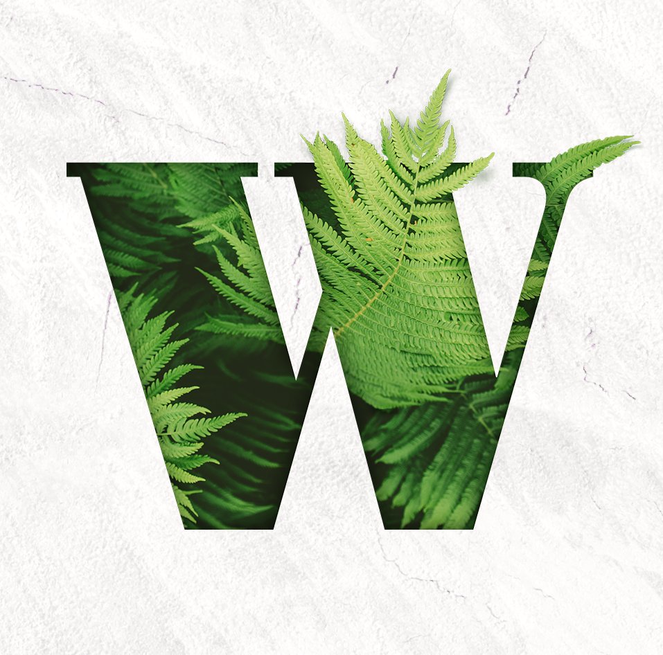 DiscipleMakers tweet media