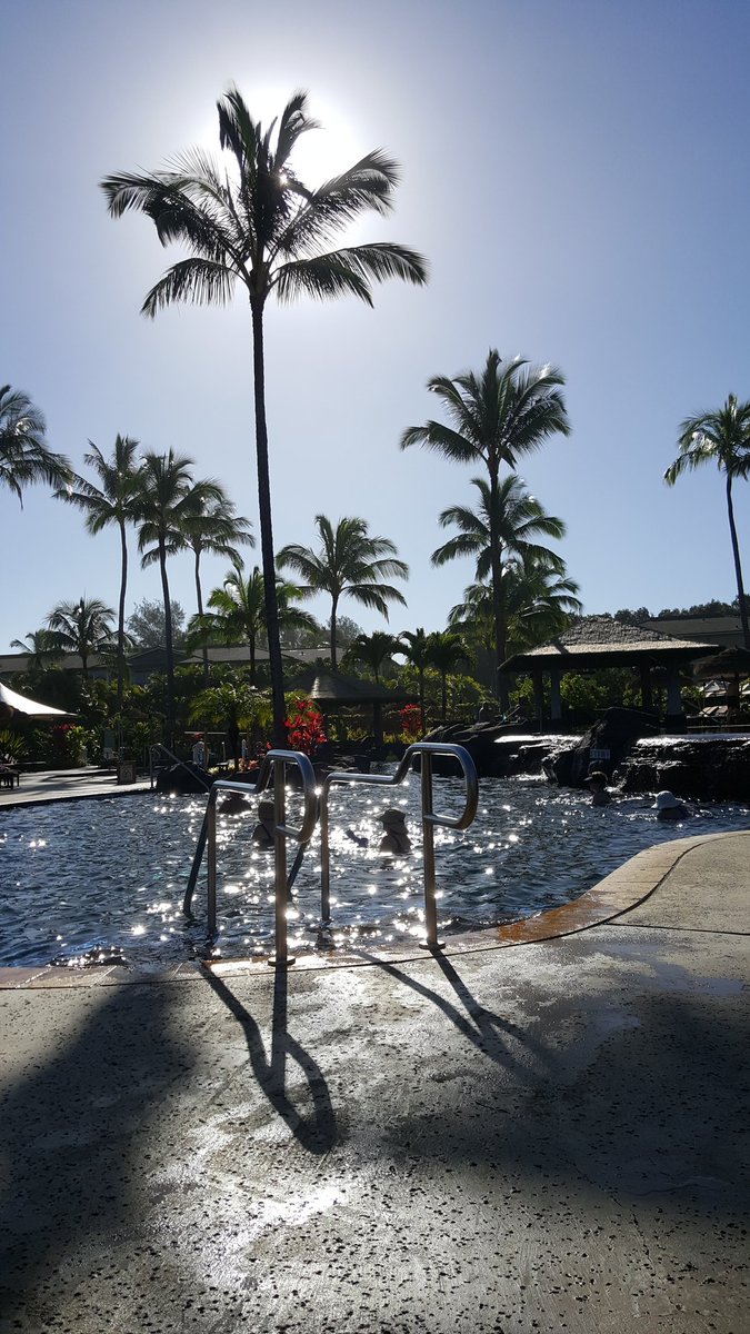 kanvaden's tweet photo. Aloha! ❤❤Happy Valentine's Day ❤❤ #kauai #Hawaii https://t.co/c5ihAZ52qC