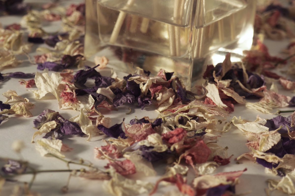 aerislifeuk's tweet photo. The Aeris Life Spring/ Summer 17 diffuser collection is out now! Check out our new video ... https://t.co/qB2EUEB85s https://t.co/vsRoxJIJdT
