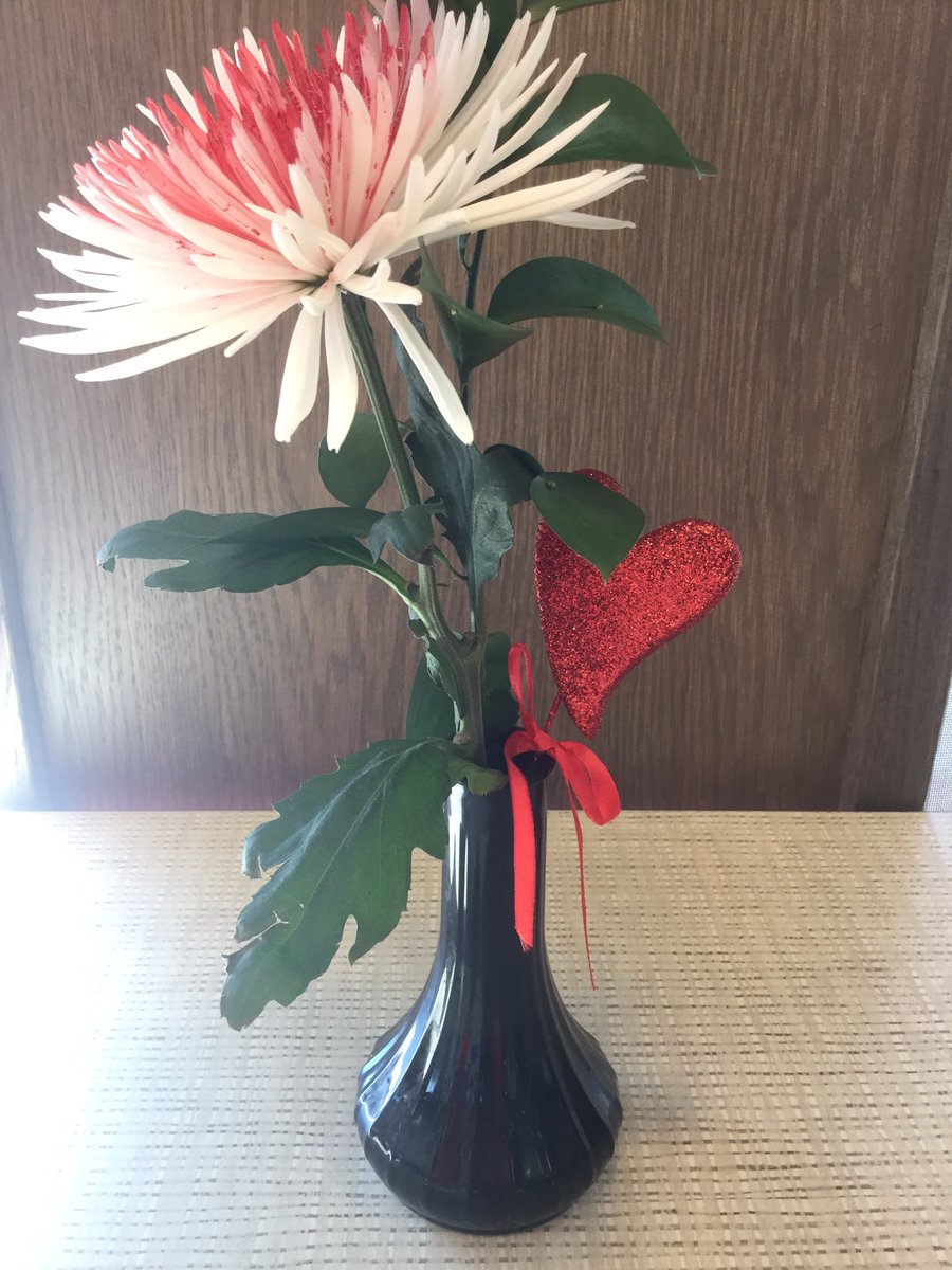 CFAAiken's tweet photo. #valentinesday2017 https://t.co/KYye2XulQc