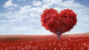 smmadvertising's tweet photo. Smith Miller Moore wishes you all a Happy Valentine's Day! https://t.co/q2IUfZNwLl