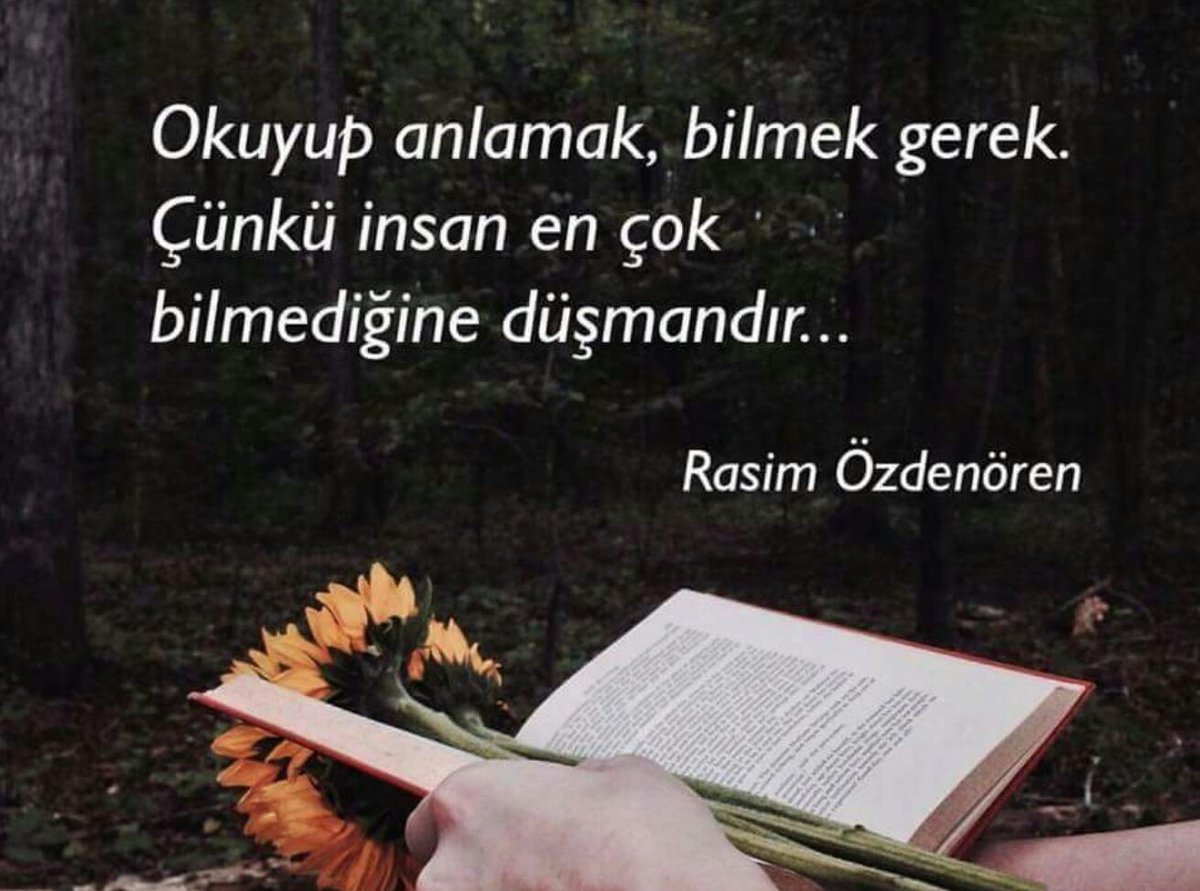 Dostona jinsiy aloqa filmi