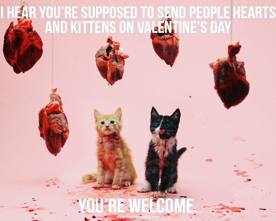 ThursdayAddams1's tweet image. Happy Valentine&apos;s Day (;