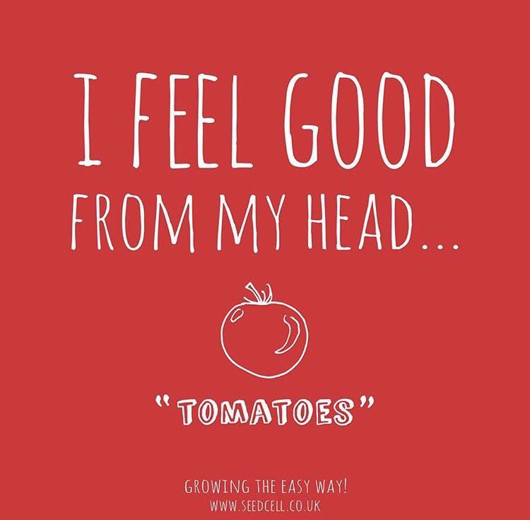 GrowSowSimpleUK's tweet photo. Happy #ValentinesDay everyone! 💞Show the earth some love by planting waste-free #SeedCell Tomatoes &amp; fall in love with #gardening! 🍅 https://t.co/Kv3nBbwq9o