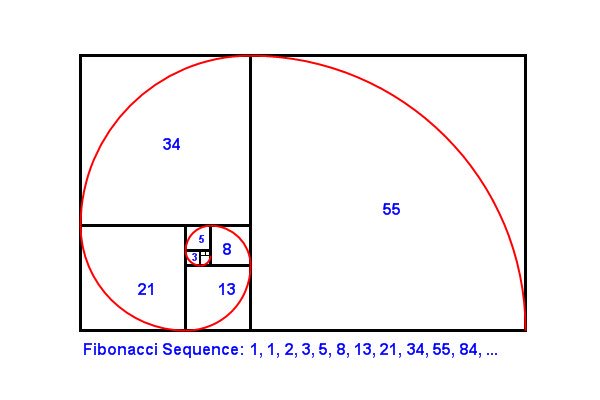JWalker320's tweet photo. @SolarzPowered If you want to get technical...I found you a #mathsnail #Fibonacci https://t.co/wU9jA3lube