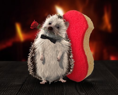 @vdrnchloe et si on te dit que notre hérisson t'invite pour un dîner aux chandelles ? 😊 bit.ly/SpontexValentin