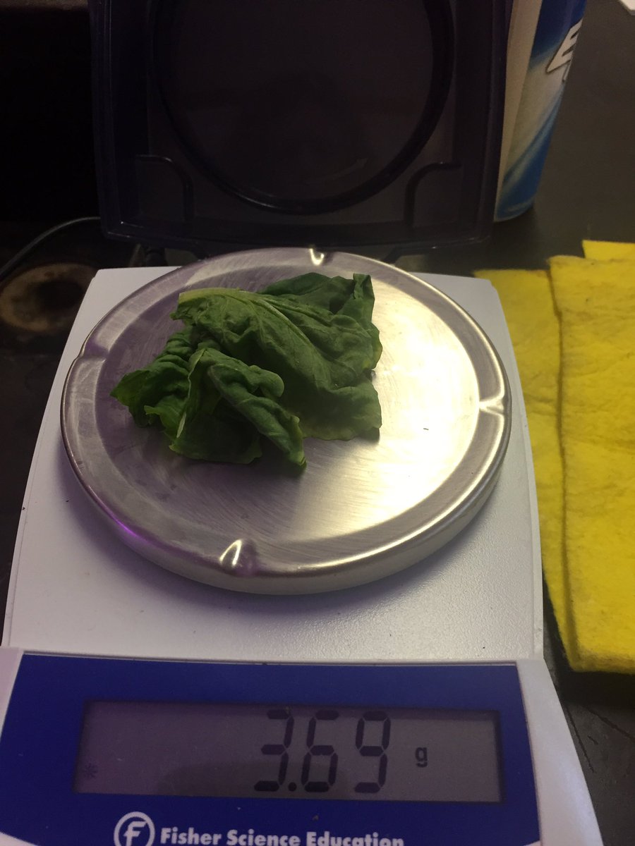 mszscience's tweet photo. Trial 3 first harvest Wk 3 Chinese cabbage GBE 2 total edible biomass 14.67g @GrowBeyondEarth @STEMDesignation @RivieraMiddle #STIR https://t.co/CmjpT1Iwlo