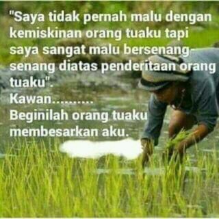 opick_zone tweet picture