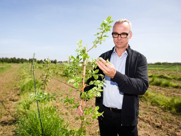 TheYummyFarm's tweet photo. Canadian farmers produce <10% of pears consumed in Canada; was 70% in 1970. @ColdSnapPear might improve this. https://t.co/Nylf8TjaQC https://t.co/1FOb7z1qVb