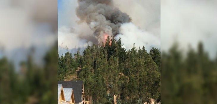 🔴 AHORA | Nuevo incendio forestal afecta a sector Placilla en Hualqui rbb.cl/fyhf