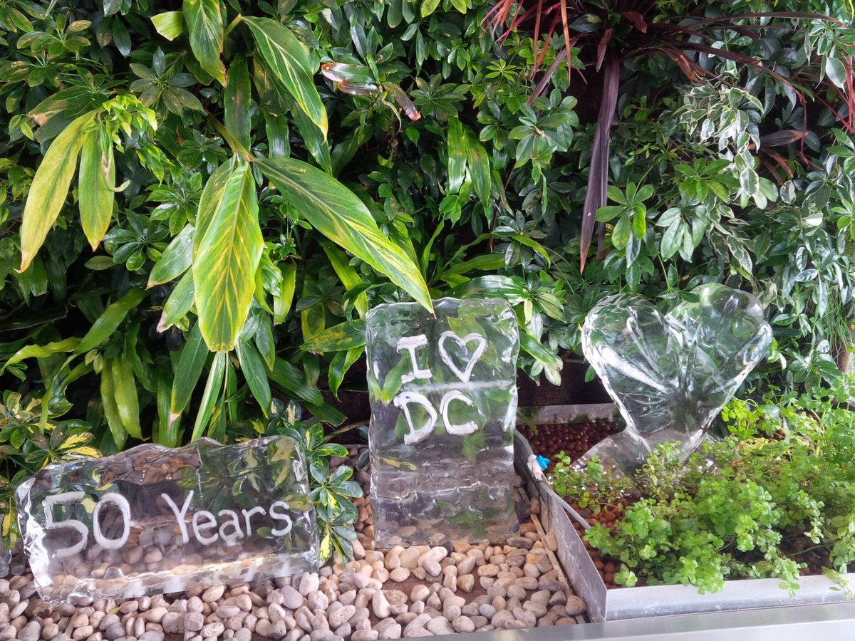 ihearthotels's tweet photo. . @durhamcollege is cool as ice! I💚DC logos in ice at the Weston Centre for Food. Thanks @dcdavidx - Very nice ice! #DC50 #DC-CFF https://t.co/ldwikMVMgs