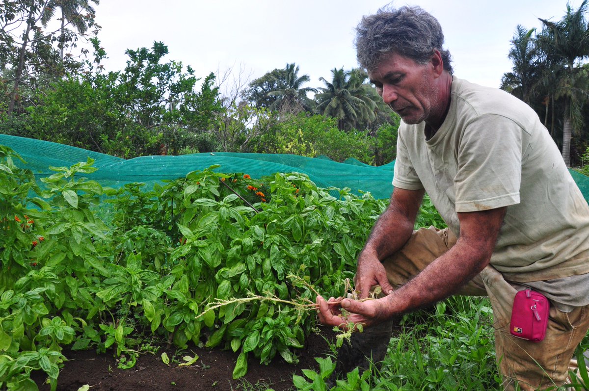 OrganicMarshall's tweet photo. 50.9 mil hectares up 6.6 mil hec in 2014 under organic prduction #organic global boom @IFOAMorganic "The World of Organics" stats launch https://t.co/QJnshnkUKk